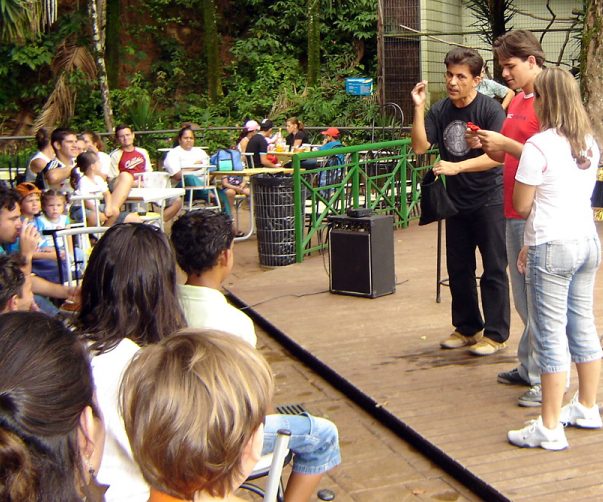 Todos atentos e curiosos com as intrigantes m�gicas de Torrine